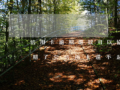 信用卡逾期還款可以協(xié)商嗎(快逾期了欠信用卡還不起跟銀行能有協(xié)商的可能性嗎)