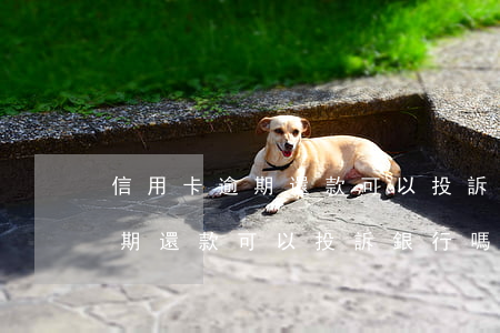 信用卡逾期還款可以投訴銀行嗎-信用卡逾期還款可以投訴銀行嗎有用嗎