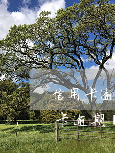 信用卡逾期還款可以投訴銀行嗎(好幾家信用卡逾期銀行會聯(lián)合起訴嗎)