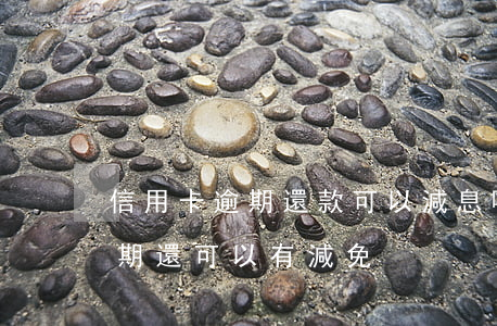 信用卡逾期還款可以減息嗎(為什么信用卡逾期還可以有減免)