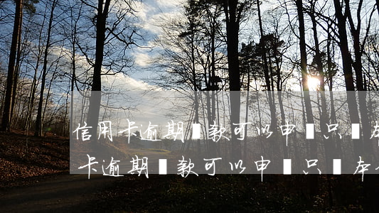 信用卡逾期還款可以申請只還本金嗎?-信用卡逾期還款可以申請只還本金嗎