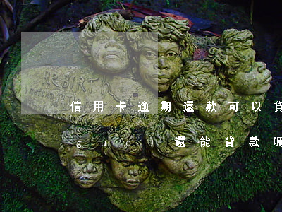 信用卡逾期還款可以貸到嗎(信用卡逾期過(guò)還能貸款嗎?)