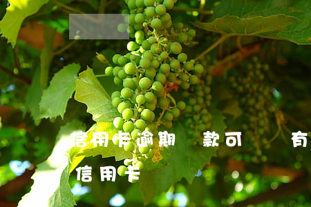 信用卡逾期還款可還嗎(有過逾期還可以申請信用卡嗎)