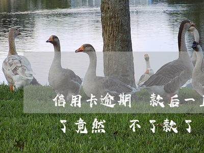 信用卡逾期還款后一直沒用(信用卡逾期好久了,竟然還不了款了)