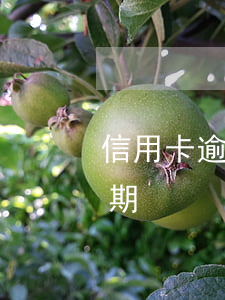 信用卡逾期還款后不能分期嗎(信用卡 逾期 分期)