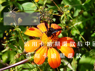信用卡逾期還款后中國(guó)銀行(中信信用卡逾期還款)