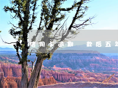 信用卡逾期還款后五年不使用