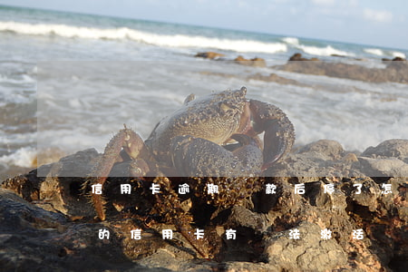 信用卡逾期還款后停了怎么開通-逾期停用的信用卡有辦法激活嗎
