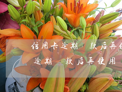 信用卡逾期還款后再使用會怎么樣-信用卡逾期還款后再使用會怎么樣嗎