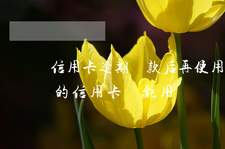 信用卡逾期還款后再使用會怎么樣 逾期還款的信用卡還能用嗎
