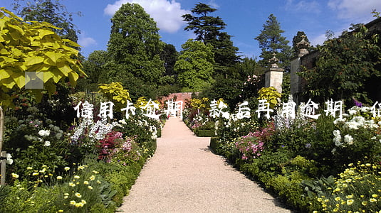信用卡逾期還款后再用(逾期還信用卡的后果)