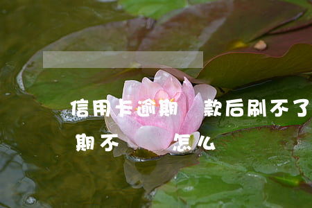 信用卡逾期還款后刷不了怎么辦(刷信用卡到期不還錢怎么辦)