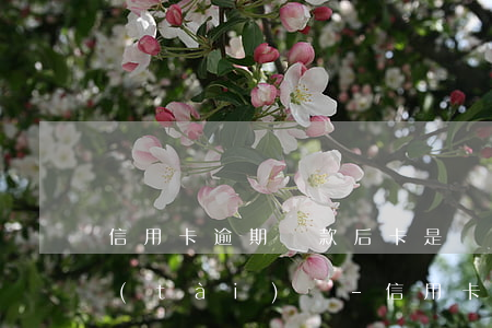 信用卡逾期還款后卡是凍結(jié)狀態(tài)嗎-信用卡逾期還款后卡是凍結(jié)狀態(tài)嗎怎么辦