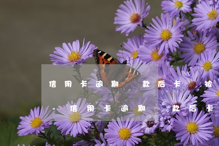 信用卡逾期還款后卡會被凍結(jié)么-信用卡逾期還款后卡會被凍結(jié)么嗎