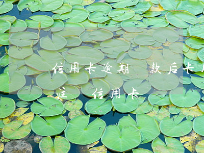 信用卡逾期還款后卡片停止使用(逾期還款后注銷信用卡)