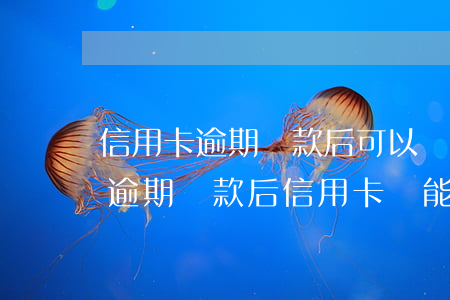 信用卡逾期還款后可以繼續(xù)使用么(逾期還款后信用卡還能用嗎)
