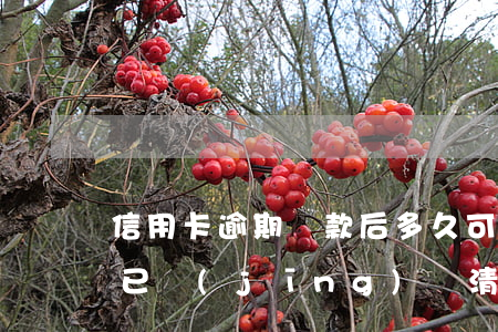 信用卡逾期還款后多久可以借錢(貸款逾期過,已經(jīng)還清了多久可以信用卡)