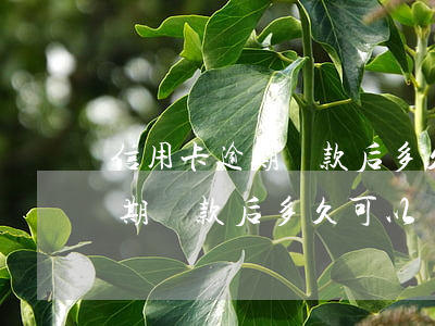 信用卡逾期還款后多久可以貸款-信用卡逾期還款后多久可以貸款買房