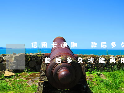 信用卡逾期還款后多久才能再用(信用卡逾期還款后多久才能再用)