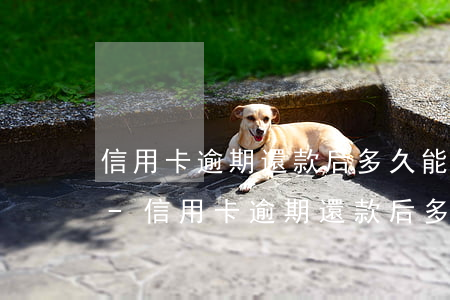 信用卡逾期還款后多久能恢復(fù)正常-信用卡逾期還款后多久能恢復(fù)正常使用