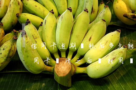 信用卡逾期還款后多久能消除 逾期很久的信用卡還清之后還能用嗎
