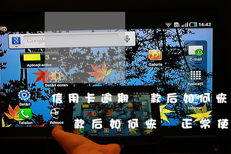 信用卡逾期還款后如何恢復正常(信用卡逾期還款后如何恢復正常使用)