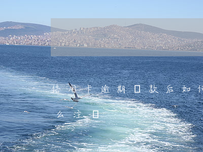 信用卡逾期還款后如何注銷(還清了信用卡怎么注銷)