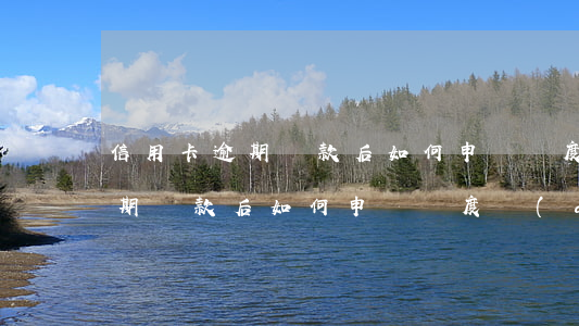 信用卡逾期還款后如何申請額度-信用卡逾期還款后如何申請額度調(diào)整