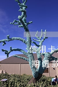 信用卡逾期還款后影響公積金嗎-信用卡逾期還款后影響公積金嗎怎么辦