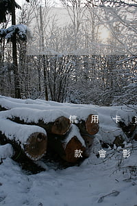 信用卡逾期還款后影響貸款么(貸款逾期后還款會影響信用嗎)
