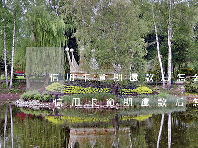 信用卡逾期還款后怎么恢復(fù)額度-信用卡逾期還款后怎么恢復(fù)額度了