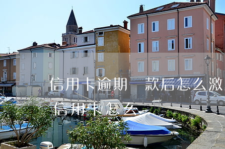 信用卡逾期還款后怎么激活(還款還到未激活信用卡怎么辦)