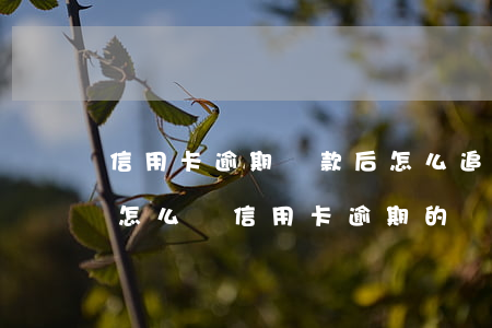 信用卡逾期還款后怎么追會(huì)利息 怎么還信用卡逾期的錢(qián)