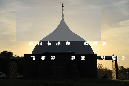 信用卡逾期還款后怎樣養(yǎng)好征信(逾期還款影響征信怎么辦)