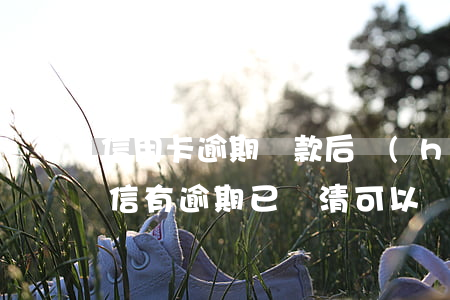 信用卡逾期還款后會(huì)上征信嗎(征信有逾期已還清可以辦信用卡嗎)