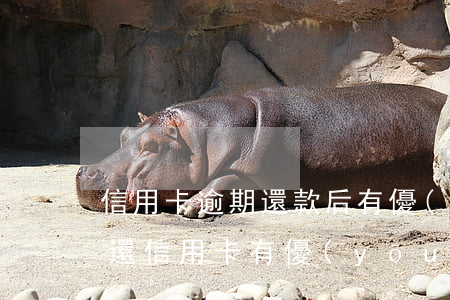 信用卡逾期還款后有優(yōu)惠金(怎么還信用卡有優(yōu)惠)