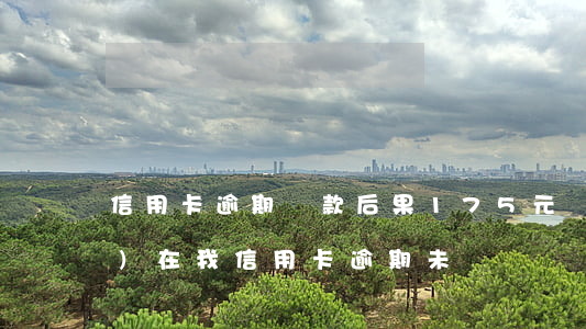 信用卡逾期還款后果175元(現(xiàn)在我信用卡逾期未還)