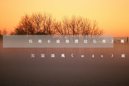 信用卡逾期還款后果2萬(wàn)(信用卡欠款兩萬(wàn)逾期兩年)