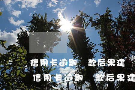 信用卡逾期還款后果建設(shè)銀行-信用卡逾期還款后果建設(shè)銀行