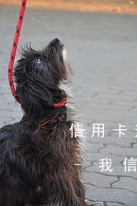 信用卡逾期還款后果影響事業(yè)編制-我信用卡逾期了會(huì)影響工作嗎