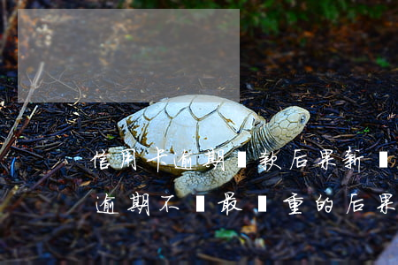 信用卡逾期還款后果新規(guī)(信用卡逾期不還最嚴重的后果是什么)