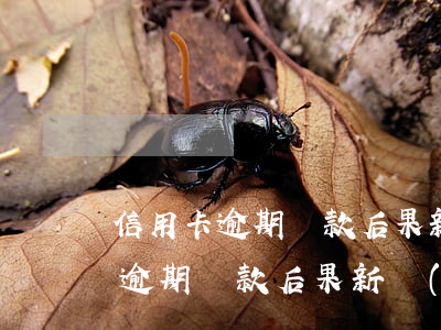 信用卡逾期還款后果新規(guī)(信用卡逾期還款后果新規(guī))