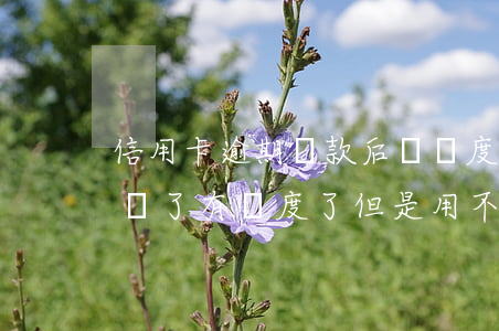 信用卡逾期還款后沒額度(信用卡逾期過后來還了有額度了但是用不了)