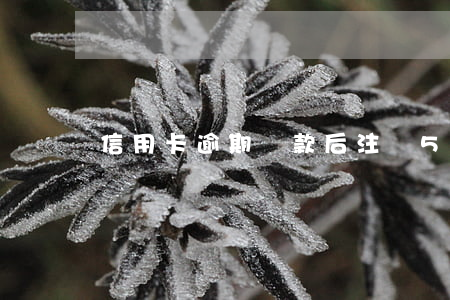 信用卡逾期還款后注銷5年后還有記錄嗎