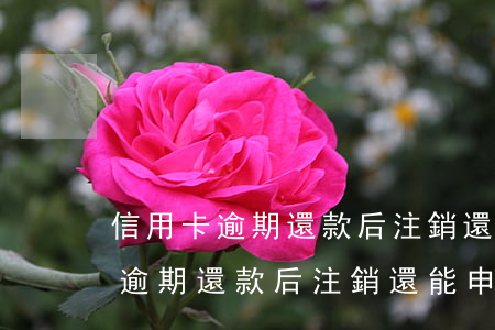 信用卡逾期還款后注銷還能申請嗎-信用卡逾期還款后注銷還能申請嗎知乎
