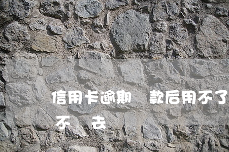 信用卡逾期還款后用不了(信用卡逾期還款還不進去)