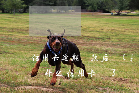信用卡逾期還款后發(fā)信息還有用嗎(為什么信用卡還了還顯示逾期)