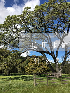 信用卡逾期還款后的后果(信用卡逾期不還有什么影響)