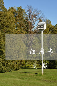 信用卡逾期還款后算本金還是利息-信用卡逾期還款后算本金還是利息呢