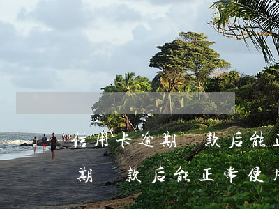 信用卡逾期還款后能正常使用嗎-信用卡逾期還款后能正常使用嗎知乎